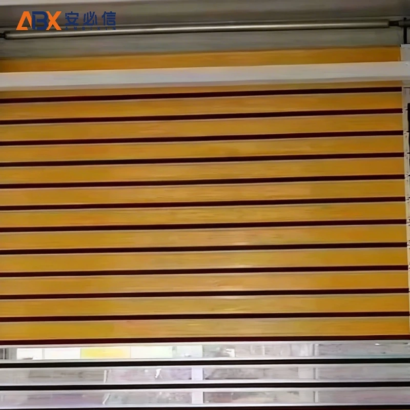 日喀则雷达高速门